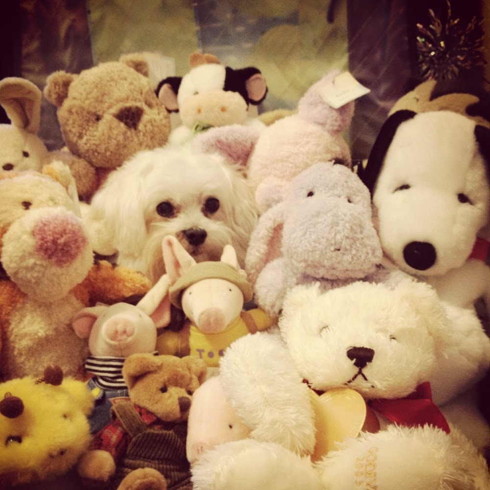 Meet your Posher, Cathy